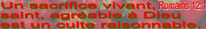 Un sacrifice vivant,  saint, agréable à Dieu est un culte raisonnable. Romains 12:1