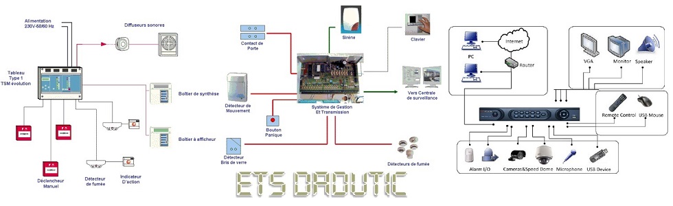 DADUTIC